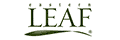 Eastern Leaf