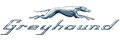 Greyhound