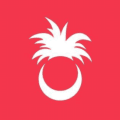 Palmy Pineapple