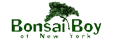 Bonsai Boy of New York
