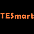 TESmart logo