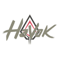 HAVOK Solutions logo